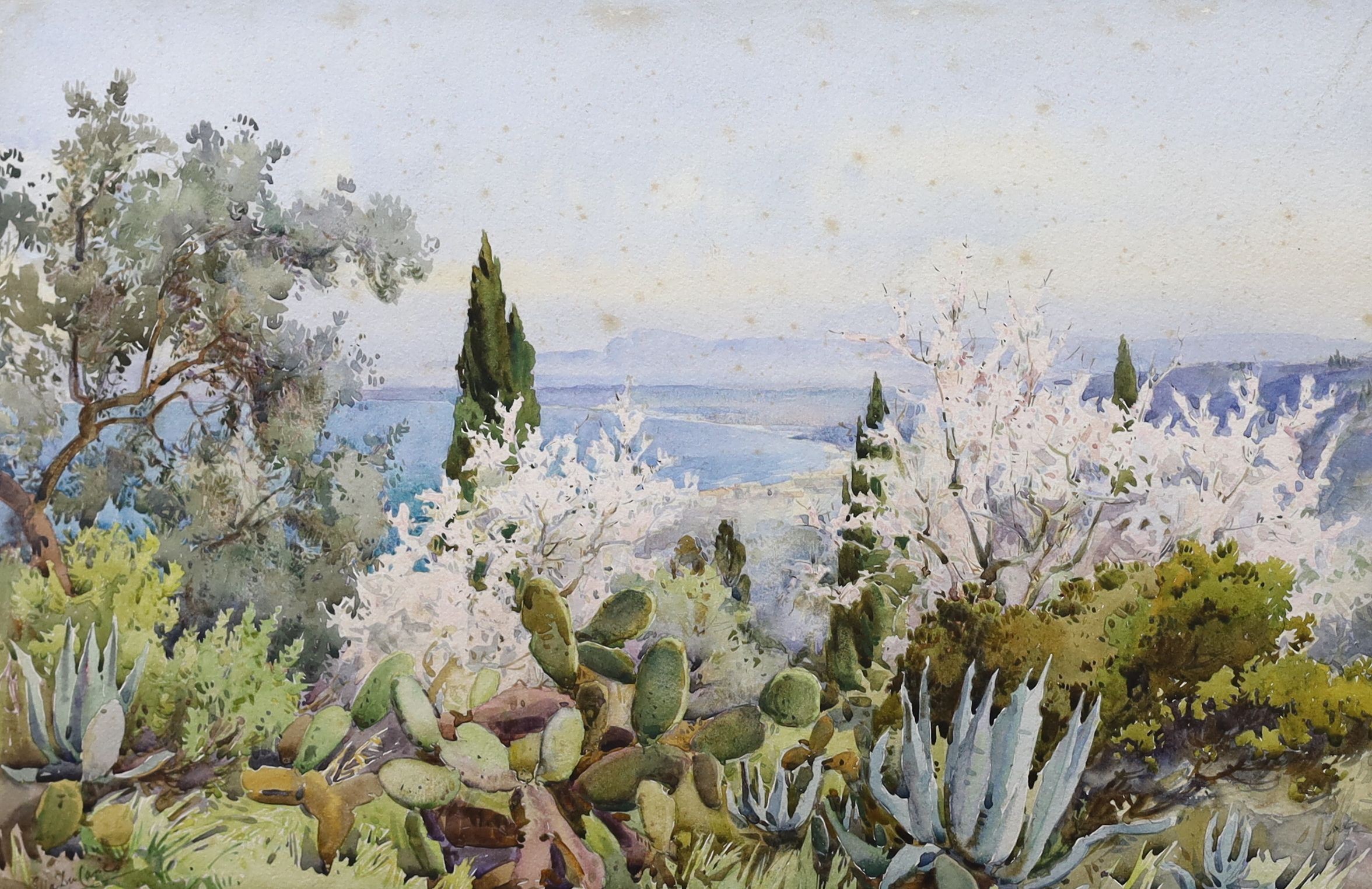 Ella Du Cane (1874-1943), set of four watercolours, Villa Sahel Algier, Garden Terrace, Rose garden and one other, signed, largest 29 x 44cm